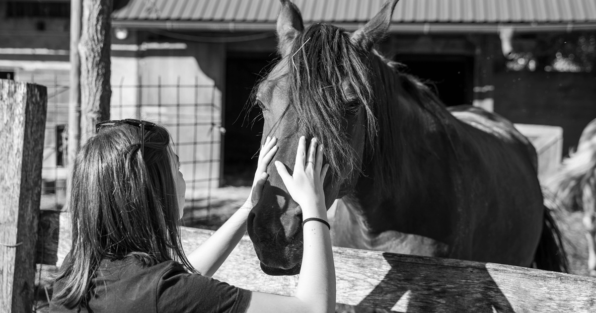 Як обрати ідеальний кінний клуб для занять?